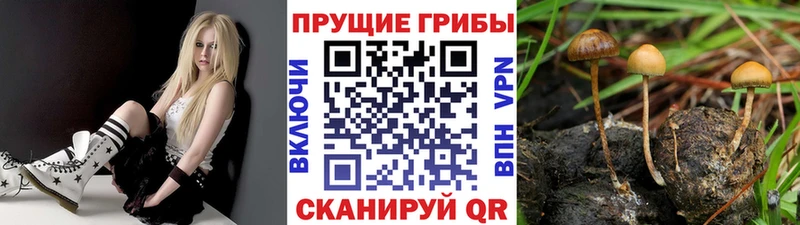 Псилоцибиновые грибы Magic Shrooms  Унеча 