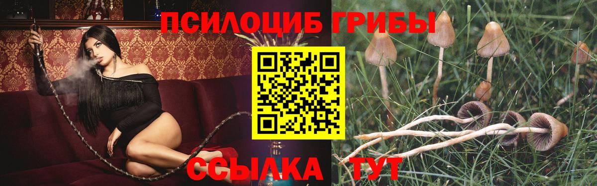 Псилоцибиновые грибы MAGIC MUSHROOMS  Вход с VPN  закладка  Псилоцибиновые грибы Psilocybine cubensis  Унеча 